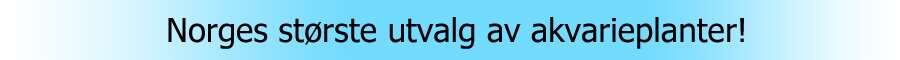 Norges største utvalg av akvarieplanter