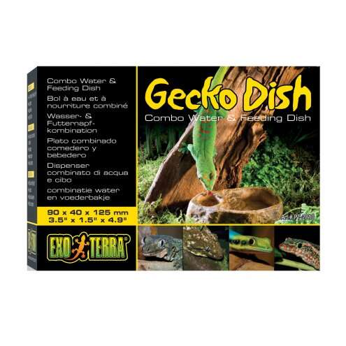Exo Terra Gecko Dish