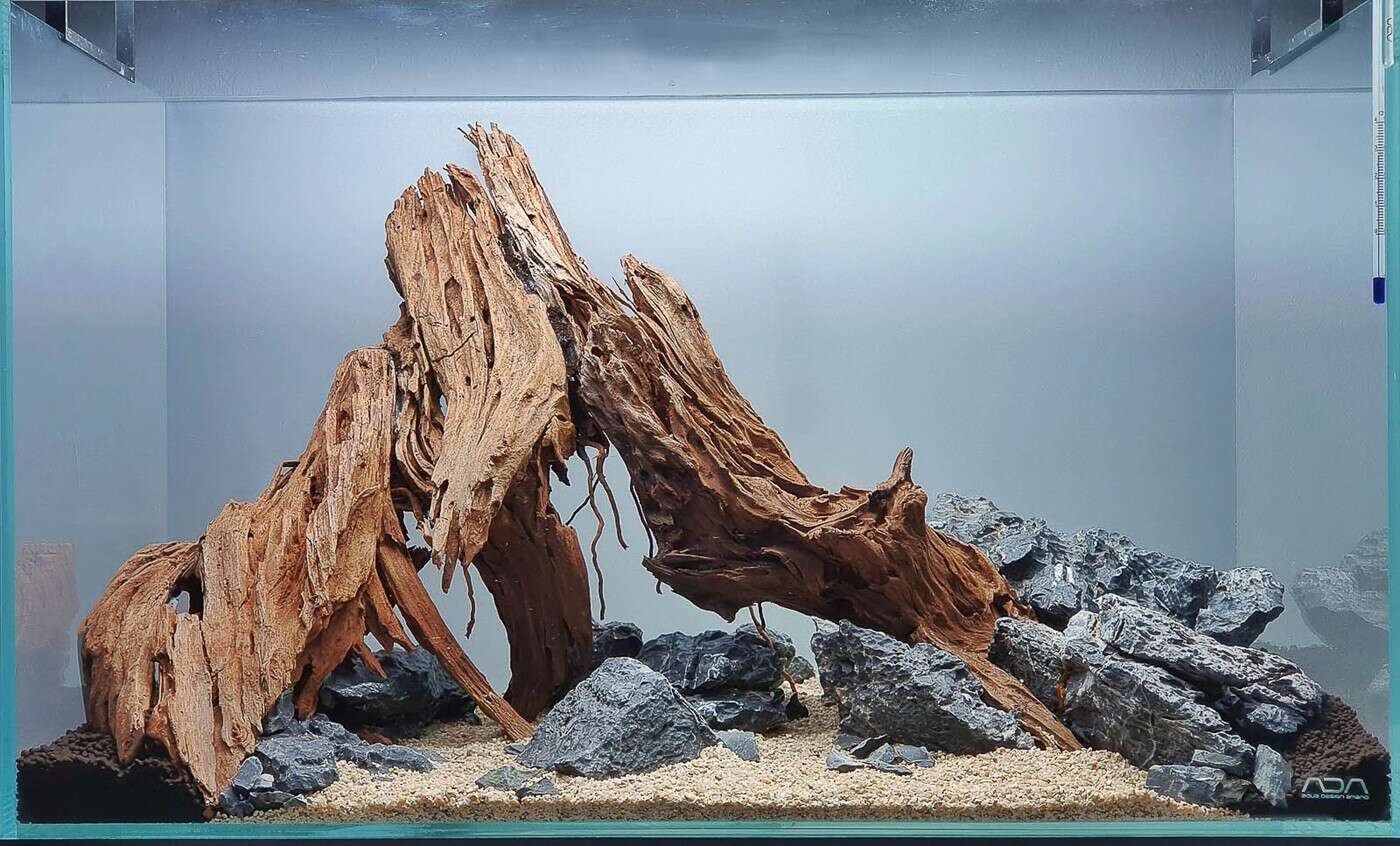 Layout 124 - Ndokulandela (54 L)