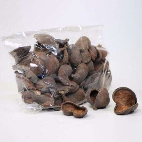 Aqualex Badam (mandel) skall