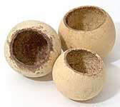 Aqualex Bell cup 5-7 cm