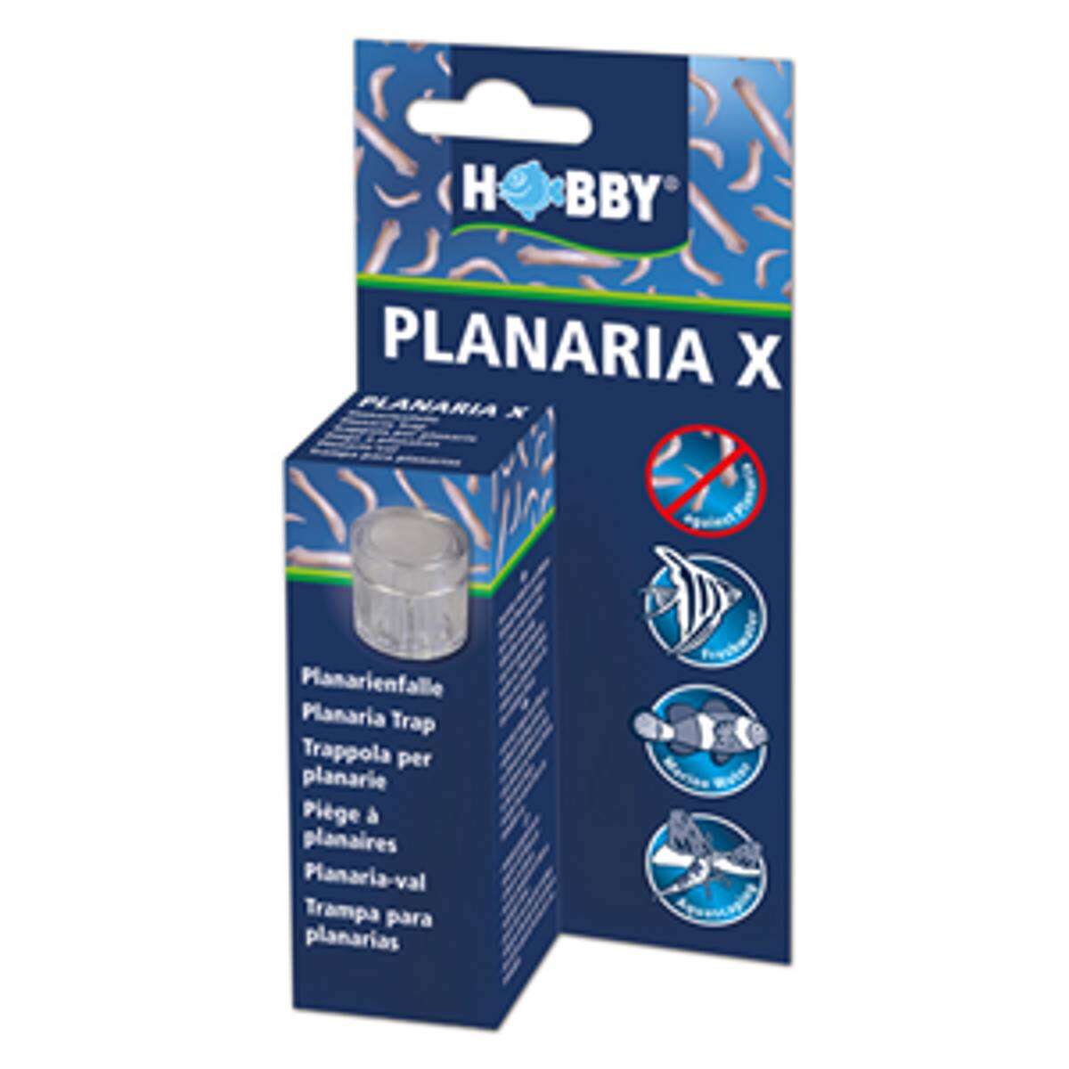 Hobby planaria felle (Planaria X Trap)