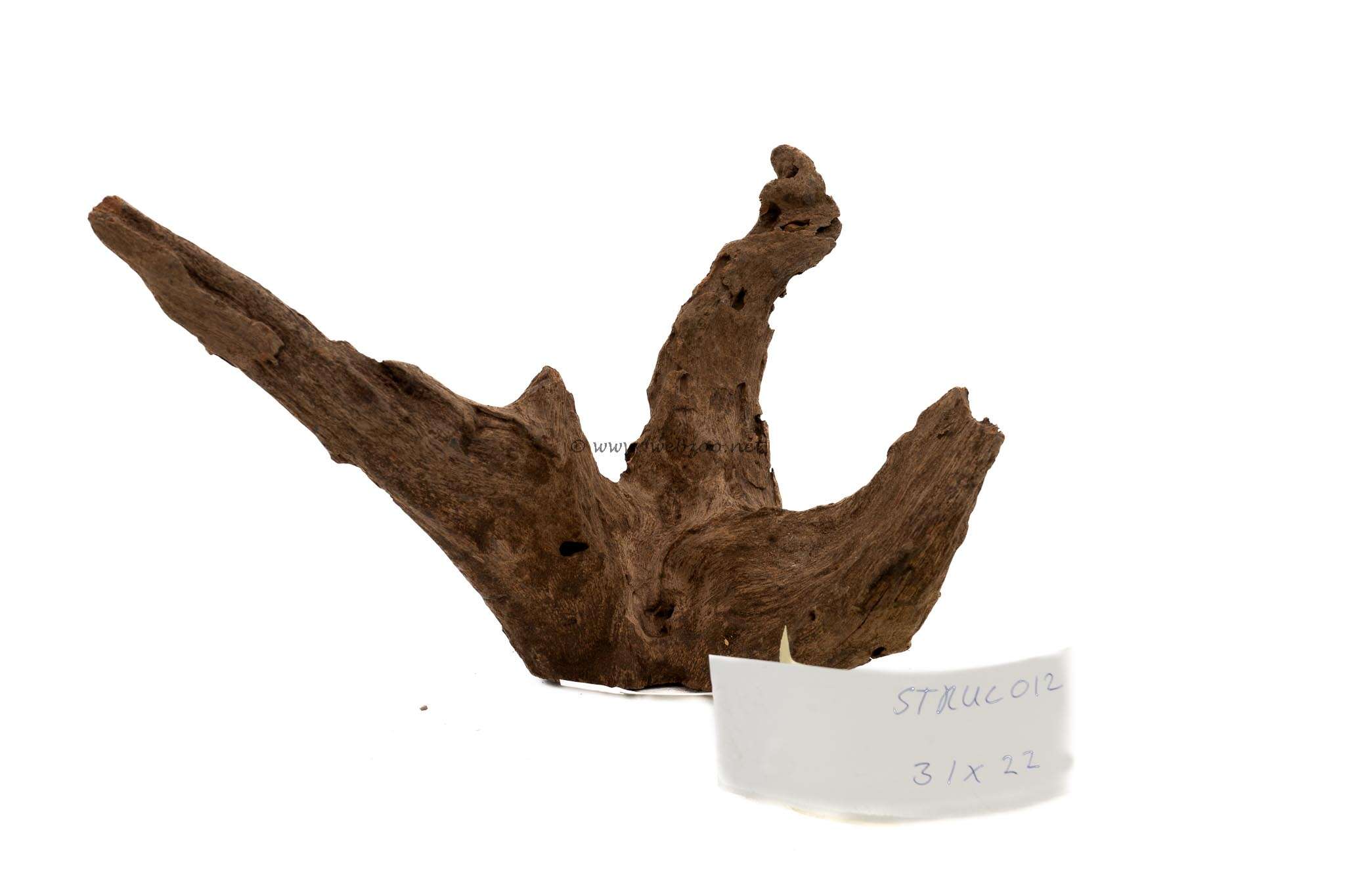 Hugo Structurewood 12 Medium 31x22