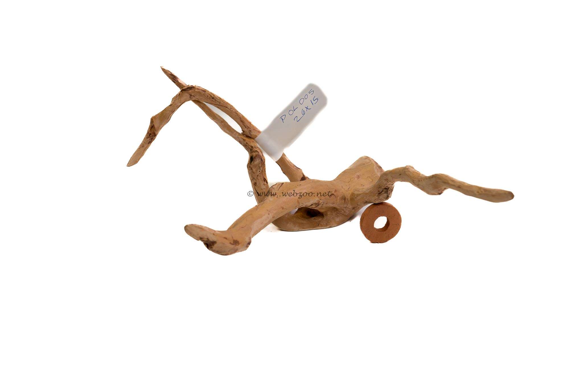 Hugo Polished Wood 5 26x15