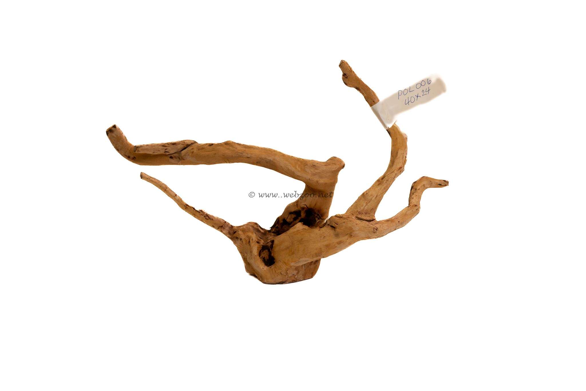 Hugo Polished Wood 6 40x24