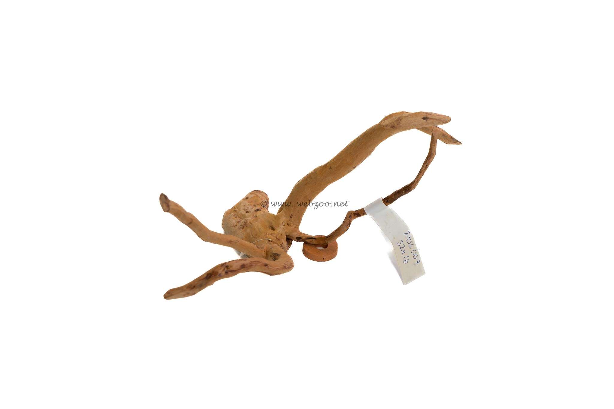 Hugo Polished Wood 7 32x16