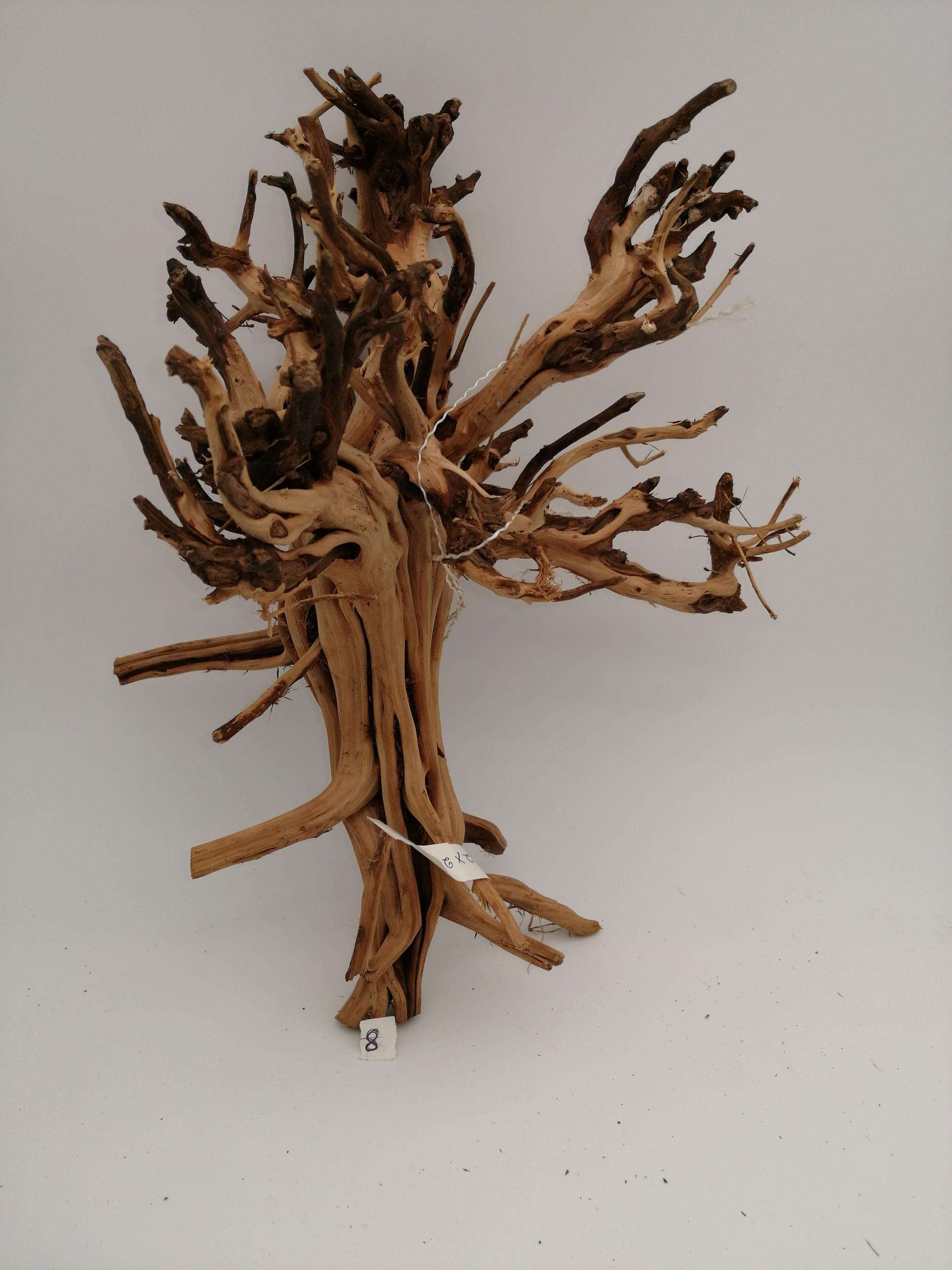 Aqualex Scapingrot nr. 8 38x24cm