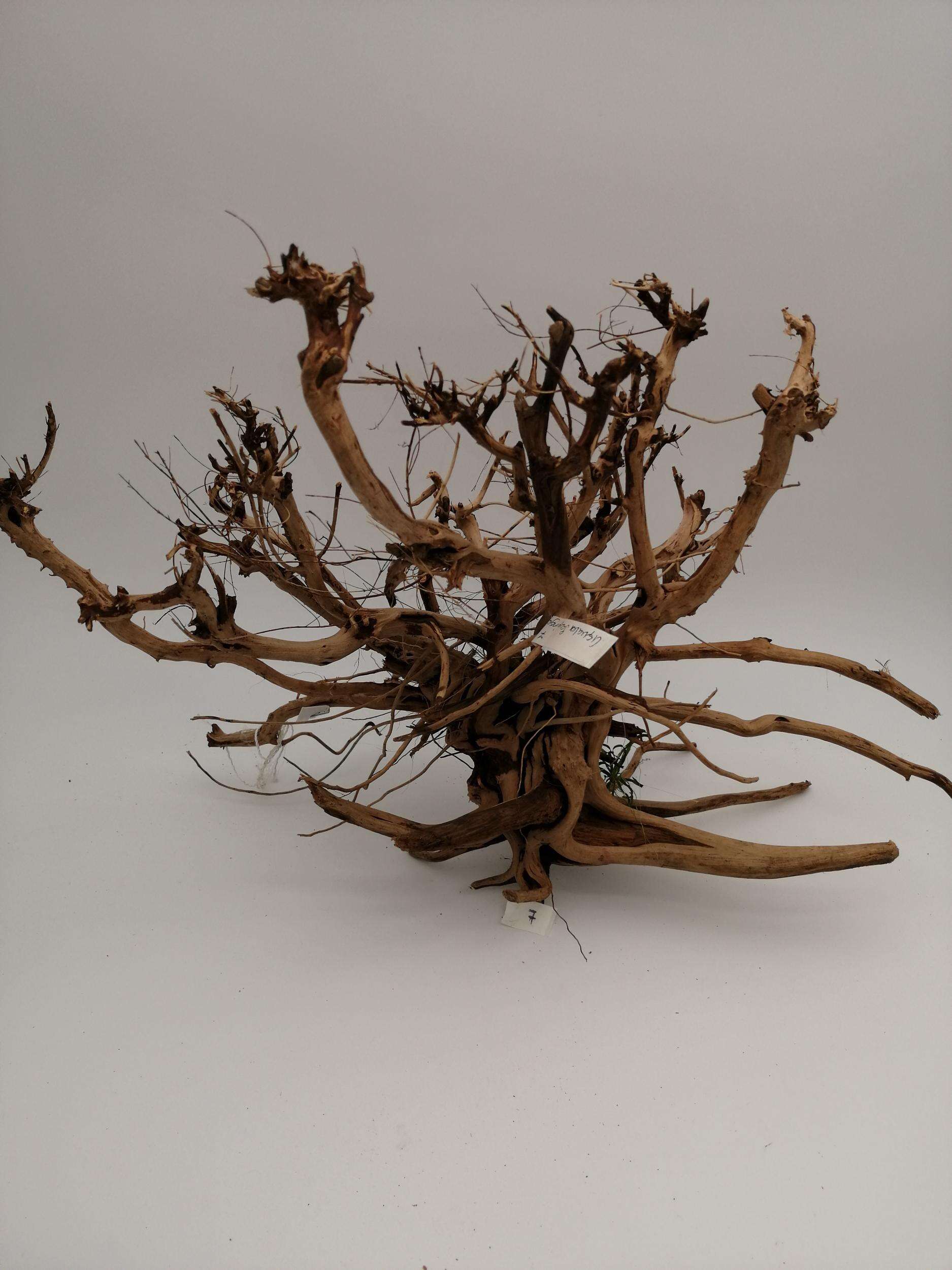 Aquael Scapingrot nr.7 47x30cm