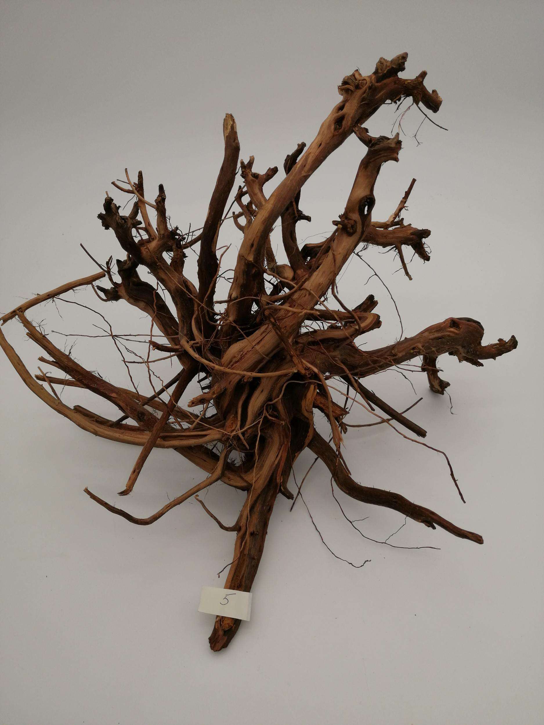 Aqualex Scapingrot nr.5 35x20cm