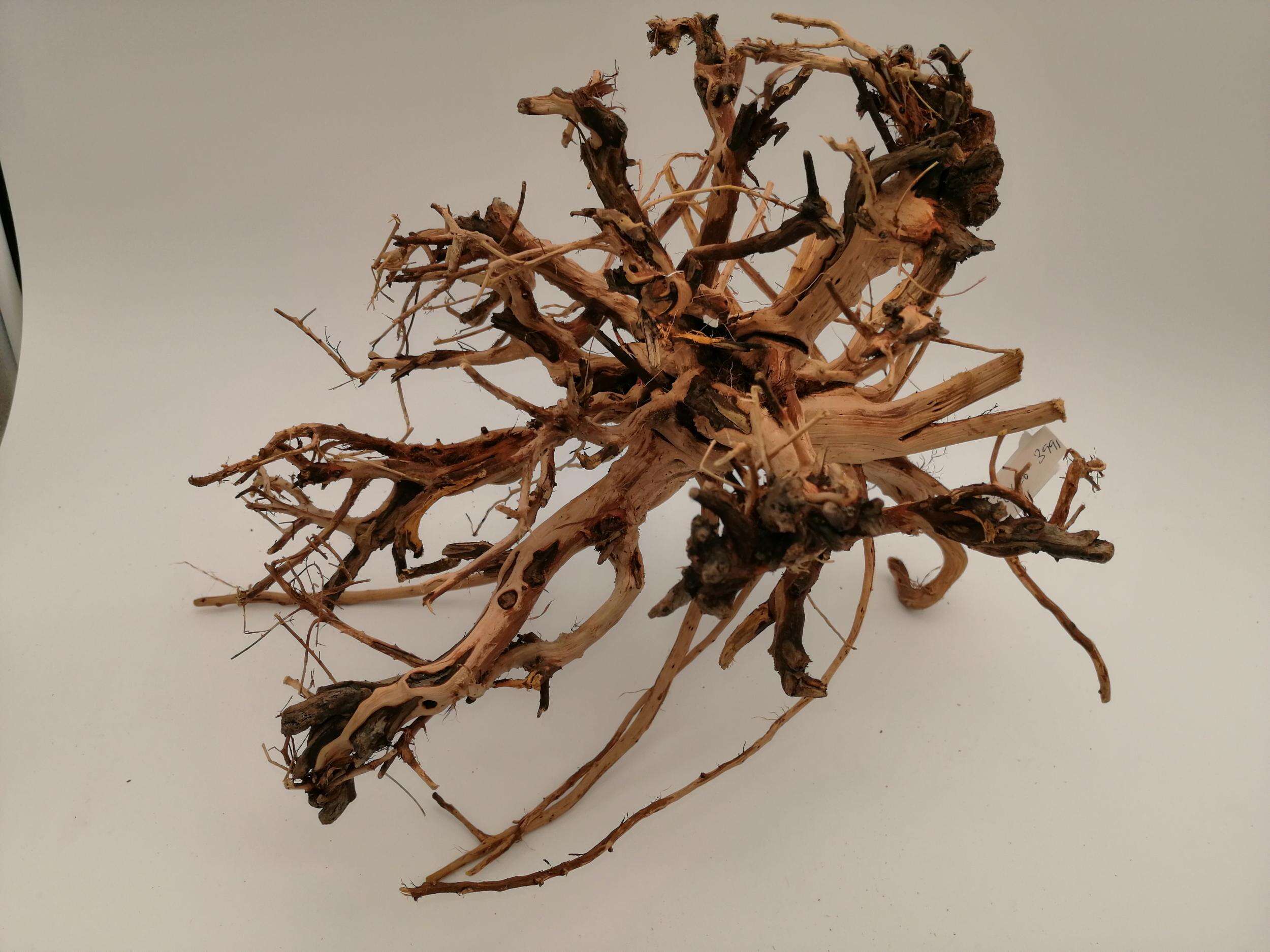 Aqualex Scapingrot nr.6 36x26cm