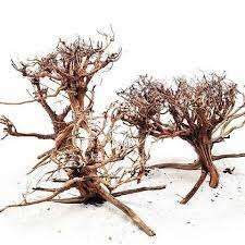 Wio Canopy Wood M