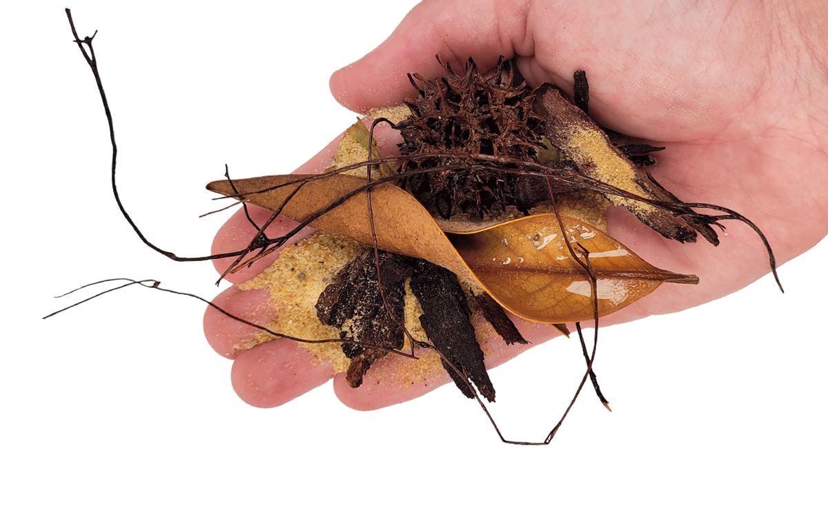 WIO Everglades RiverBed Mix 2kg