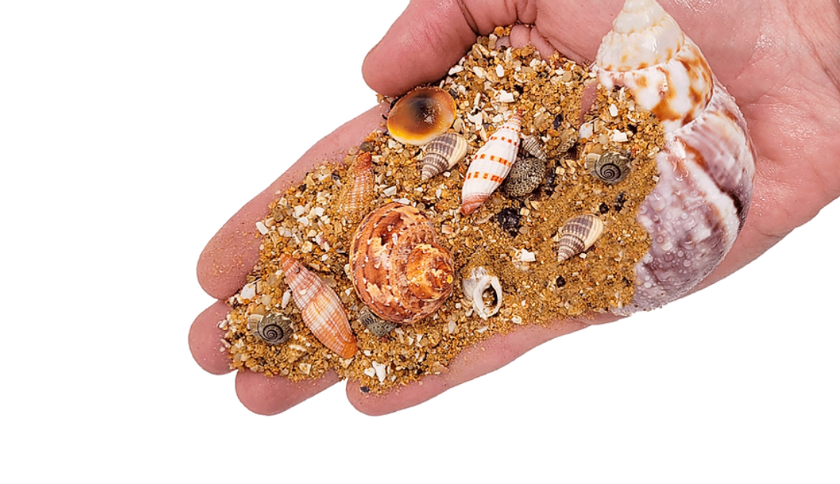 WIO Nautilus Tan RiverBed 5kg