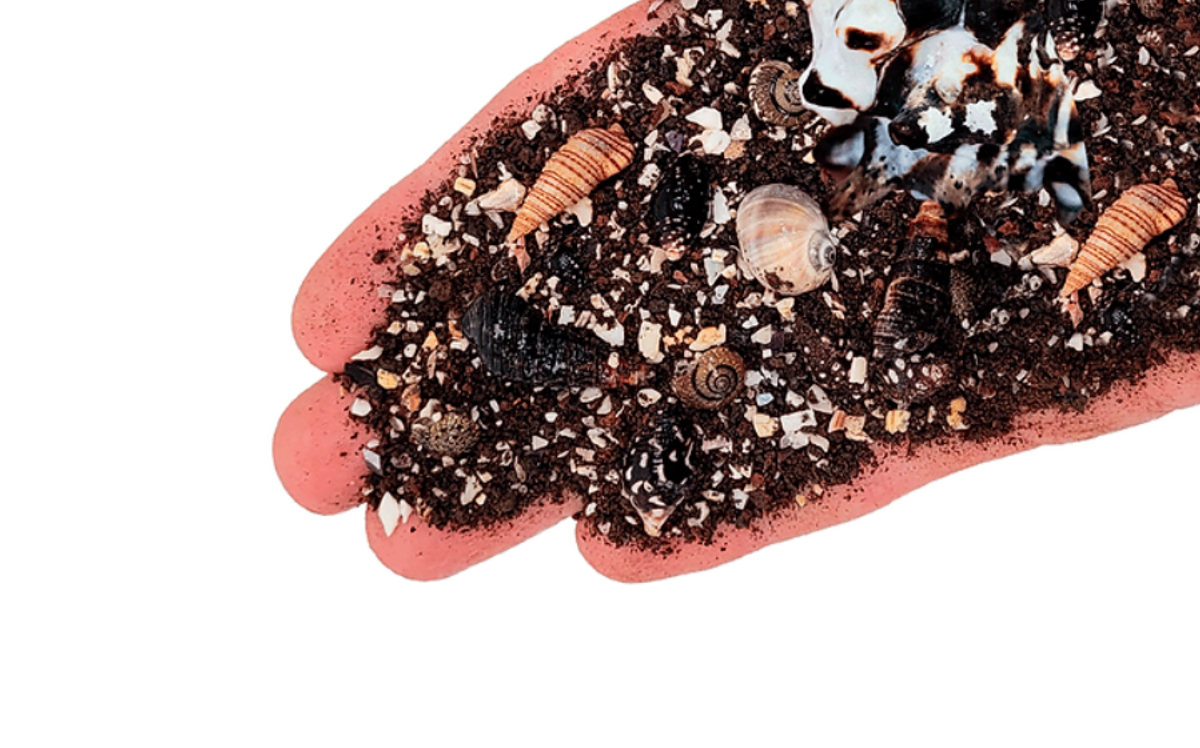 WIO Nautilus Dark RiverBed 2kg