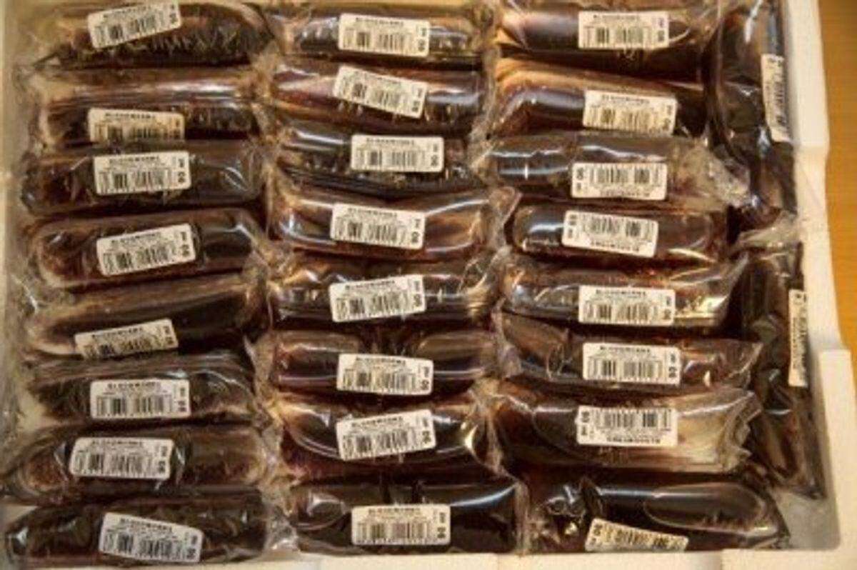 Levende Røde mygglarver 90ml/25st