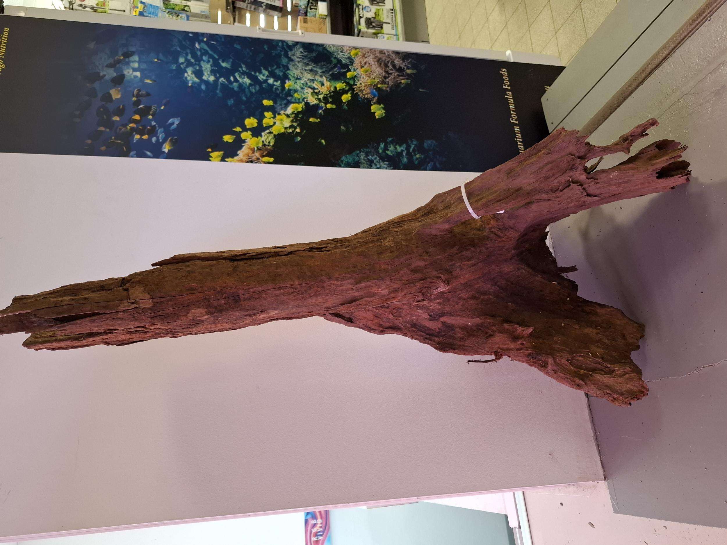 Mangrove Rot 2 XXXL 90-110cm