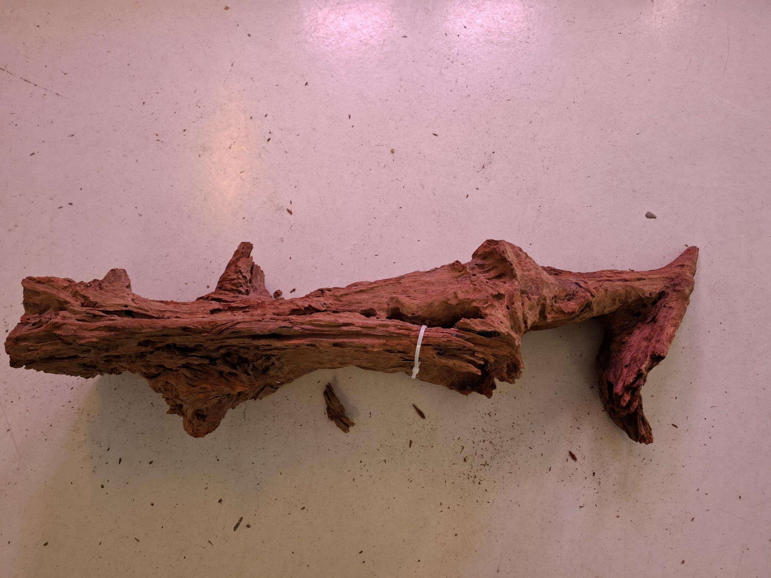 Mangrove Rot 3 XXXL 90-110cm