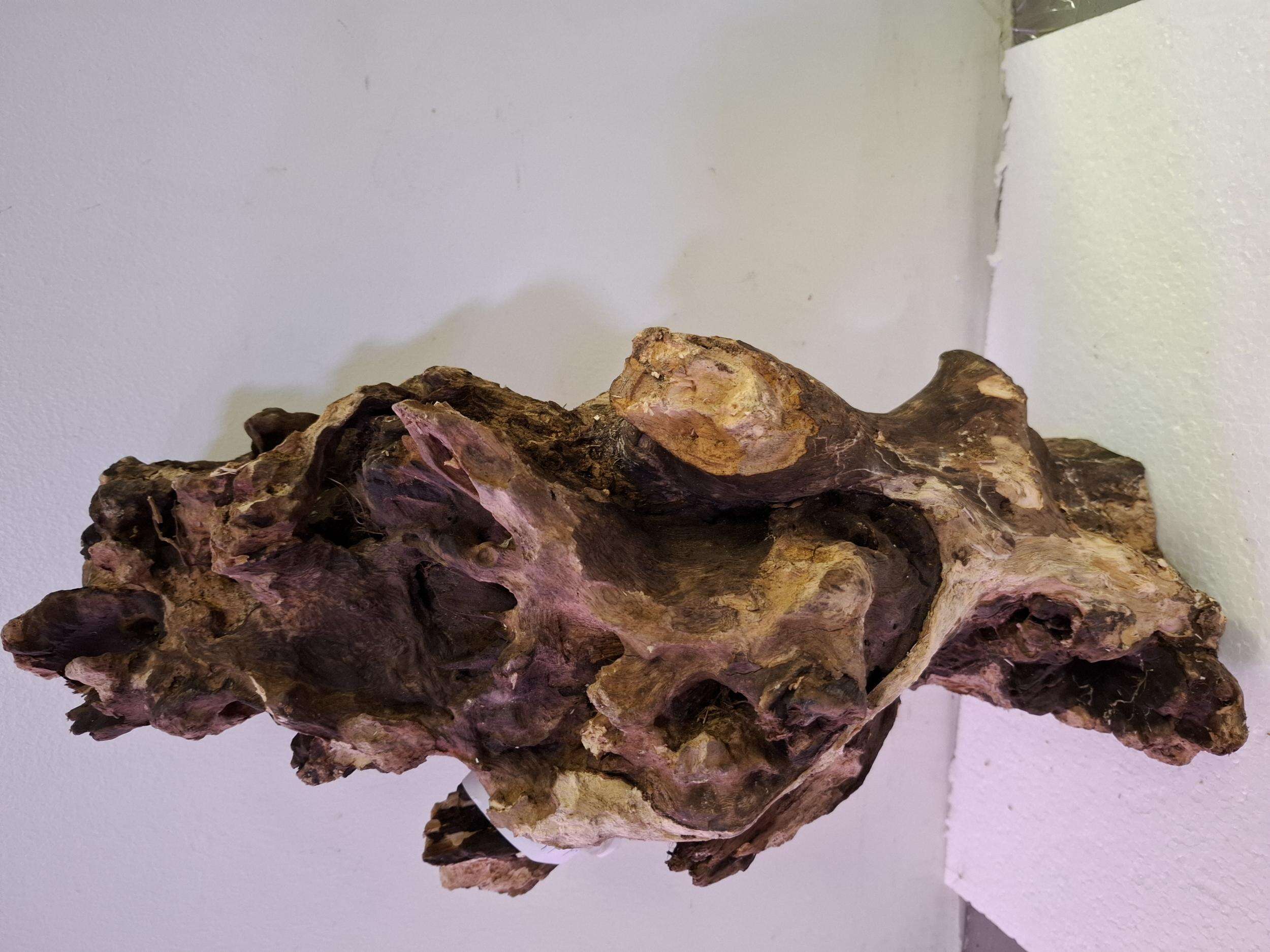 Crown Wood H2 19x47cm ca. 3,5kg