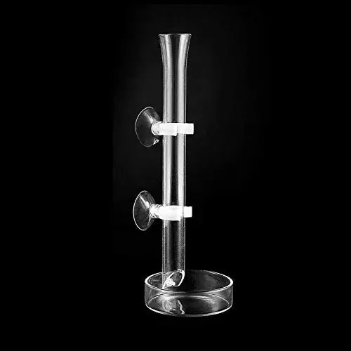 HS Glass Shrimp Food Plate 25cm