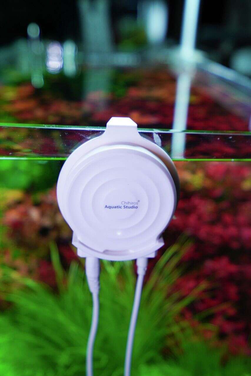 Chihiros Doctor Mate