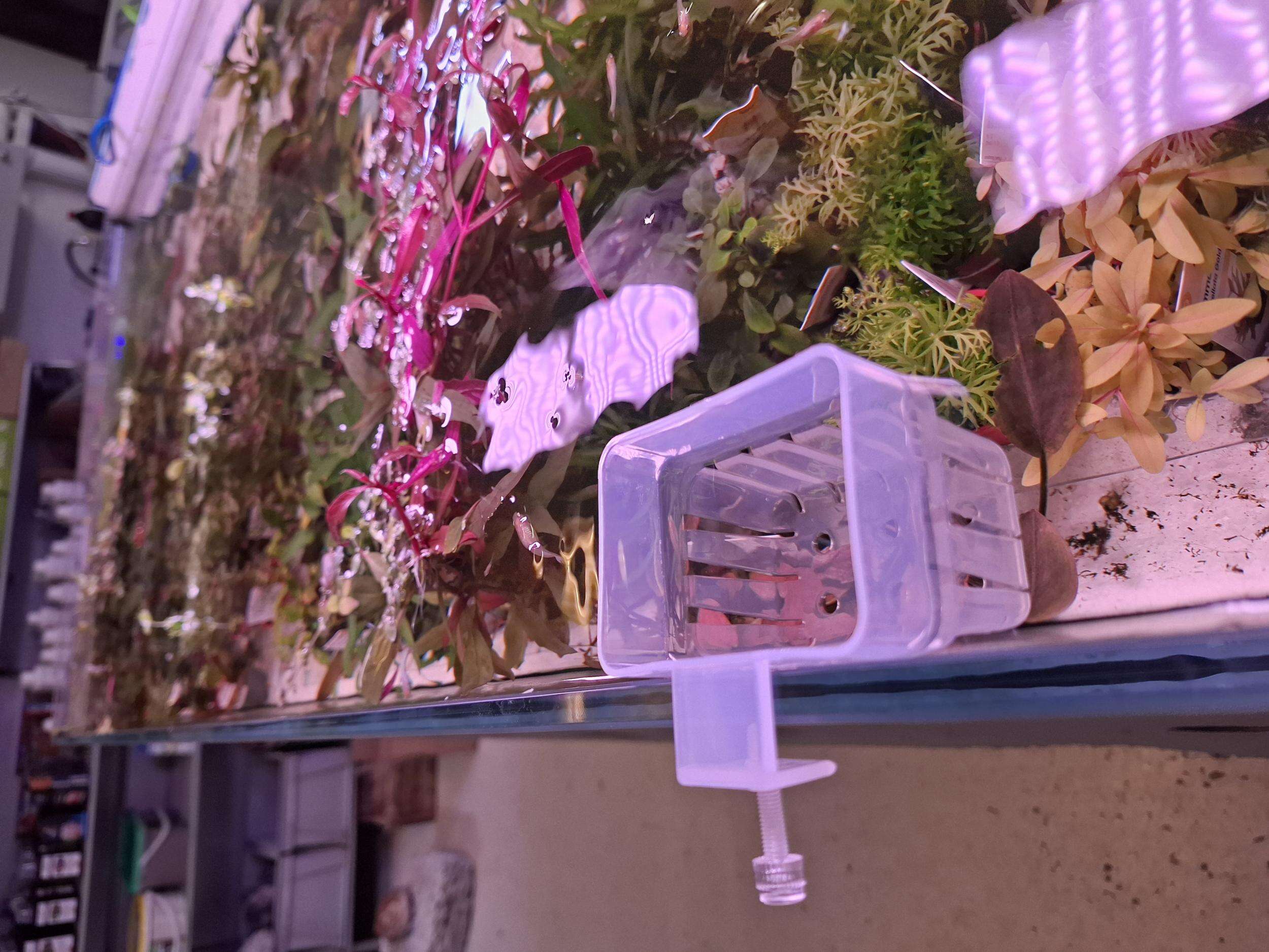 Plantekurv i klar plast 7,5x5,5cm