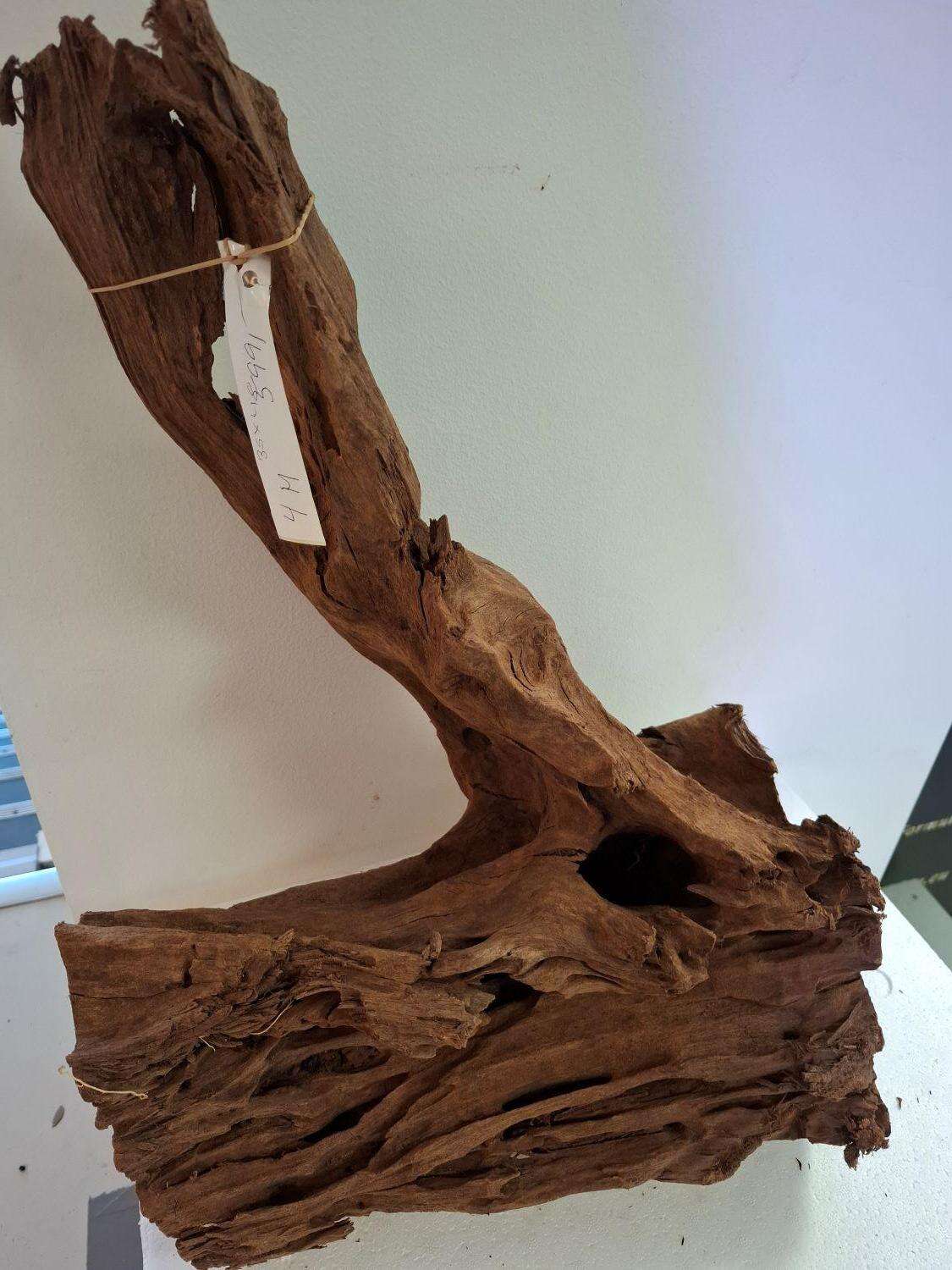 Stor Mangrove rot 4M