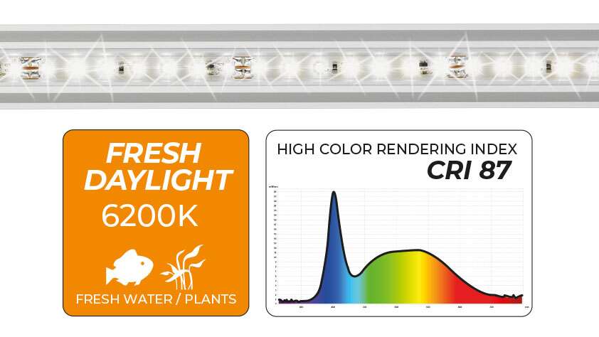 Newa Slim Daylight 228