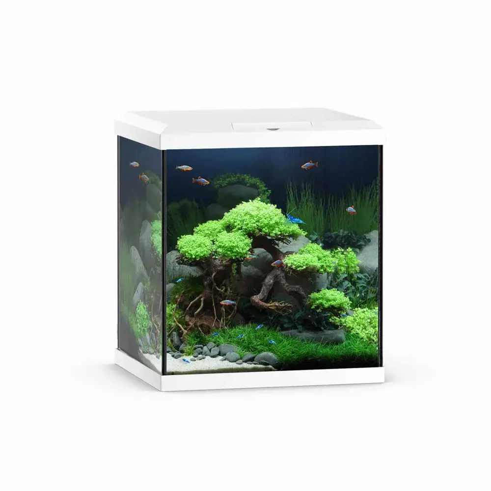 Juwel Akvarium Vio Cube 54 Hvit