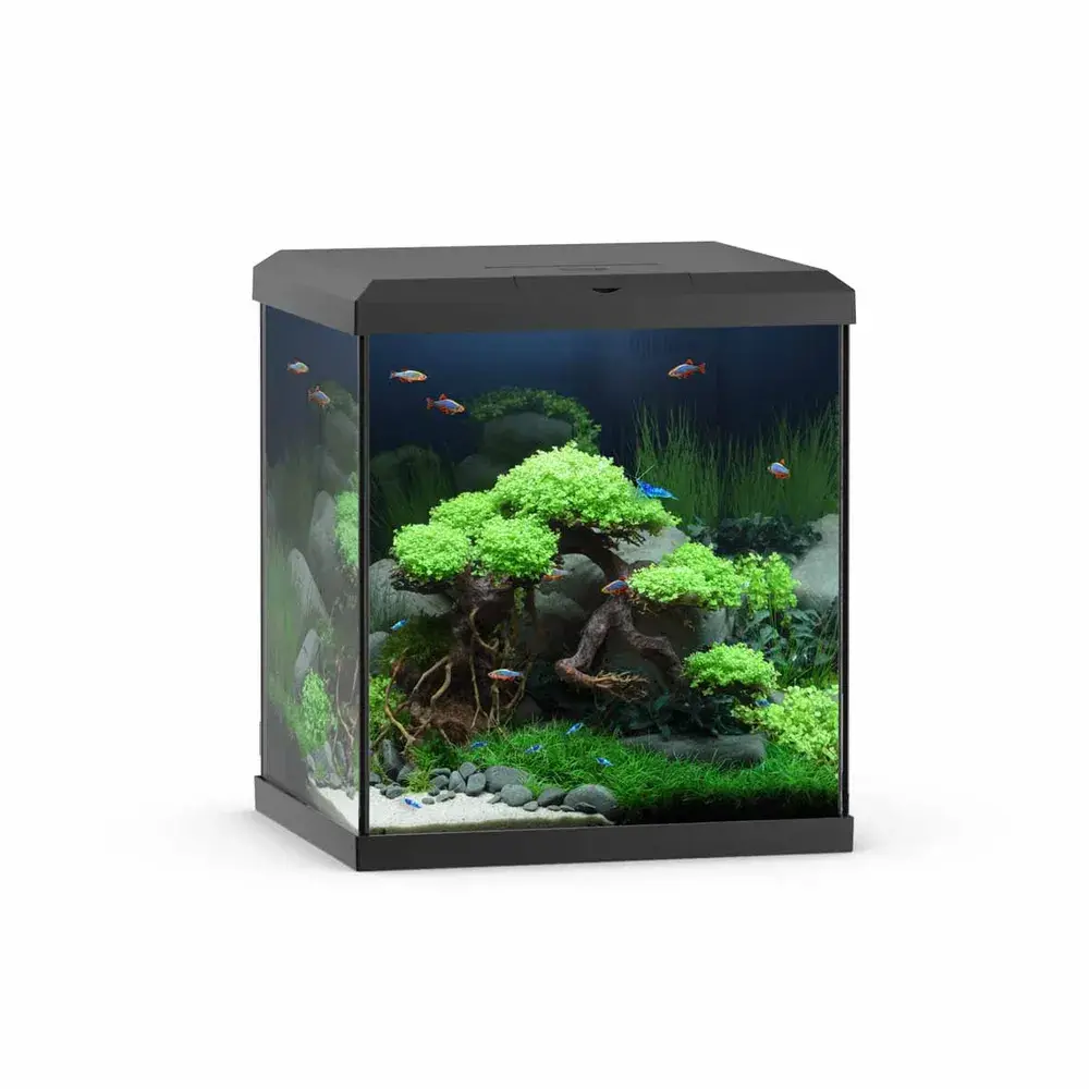 Juwel Akvarium Vio Cube 54 Svart
