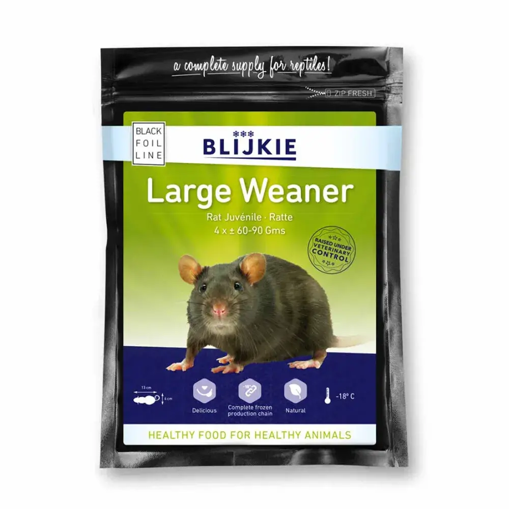 Large Weaner Rat 60-90g