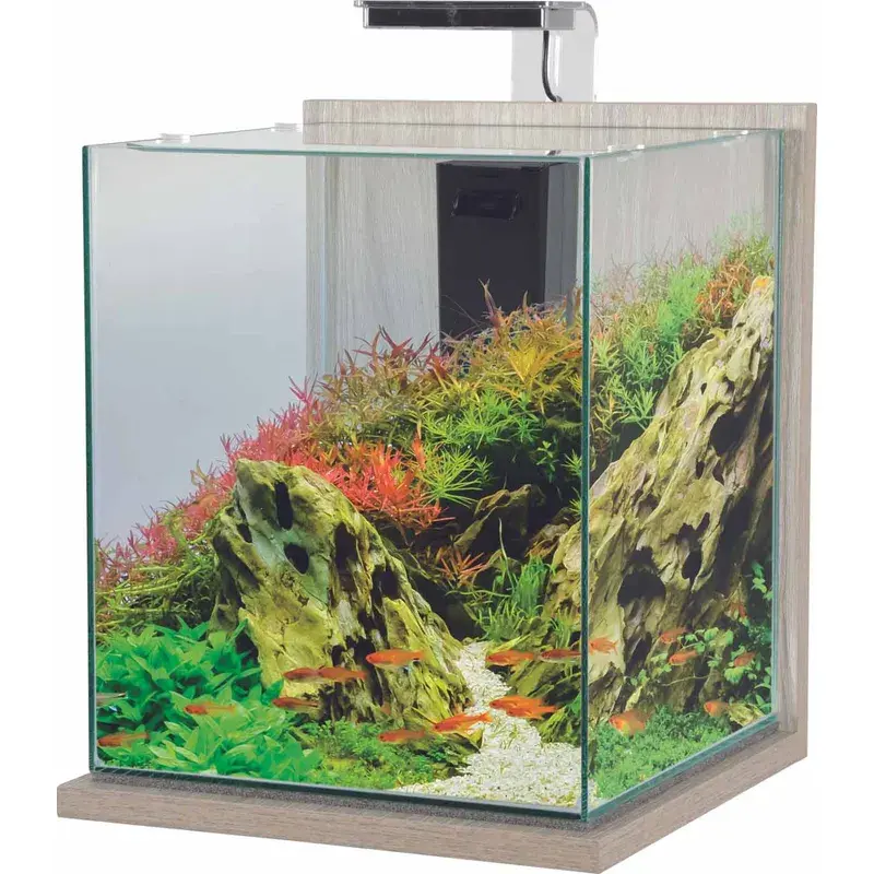 Zolux Nanoakvarium Zebranotre 31l