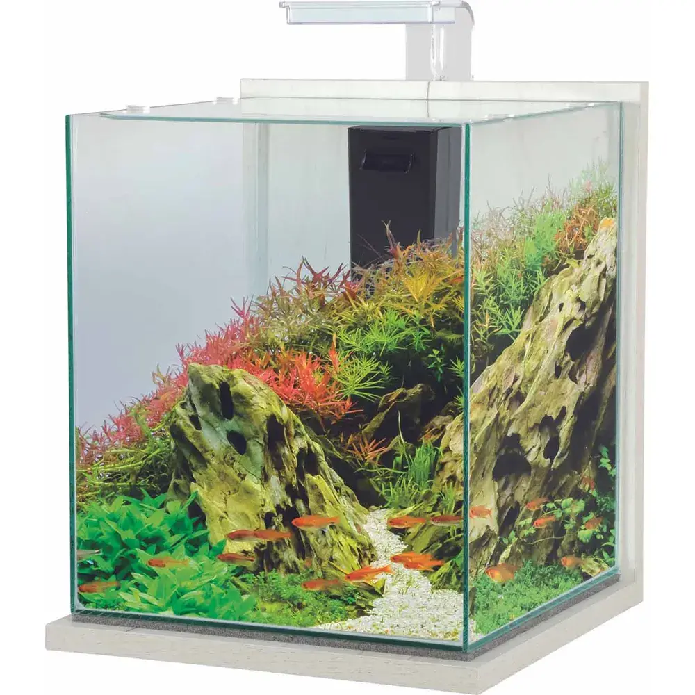 Zolux Nanoakvarium hvitlasert 31l