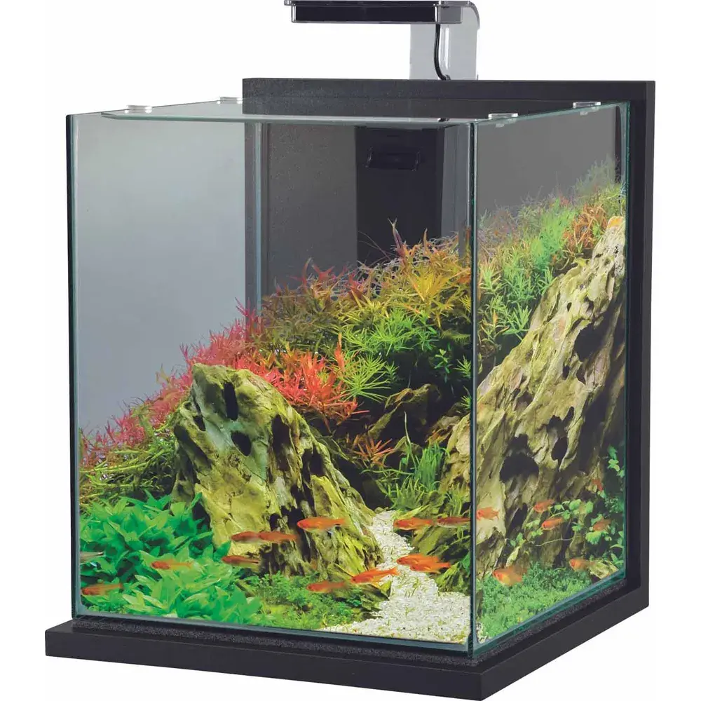 Zolux Nanoakvarium Antracitgrå 31l