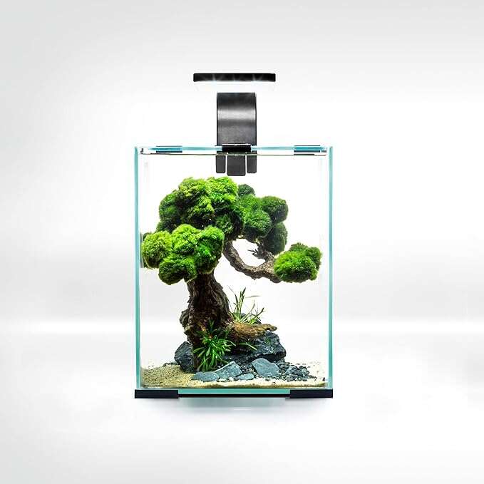 Aquael Shrimp set 10L Night and Day Svart