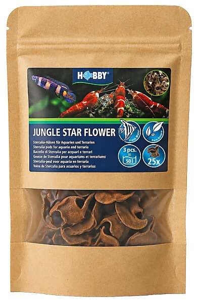 Hobby Jungle star flowers 25stk